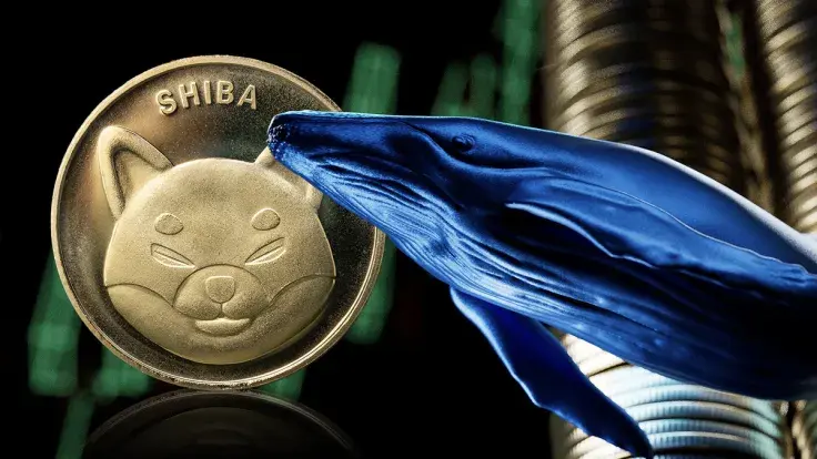 Shiba Inu's Whale Transactions up 10%, Negate These Bearish Metrics