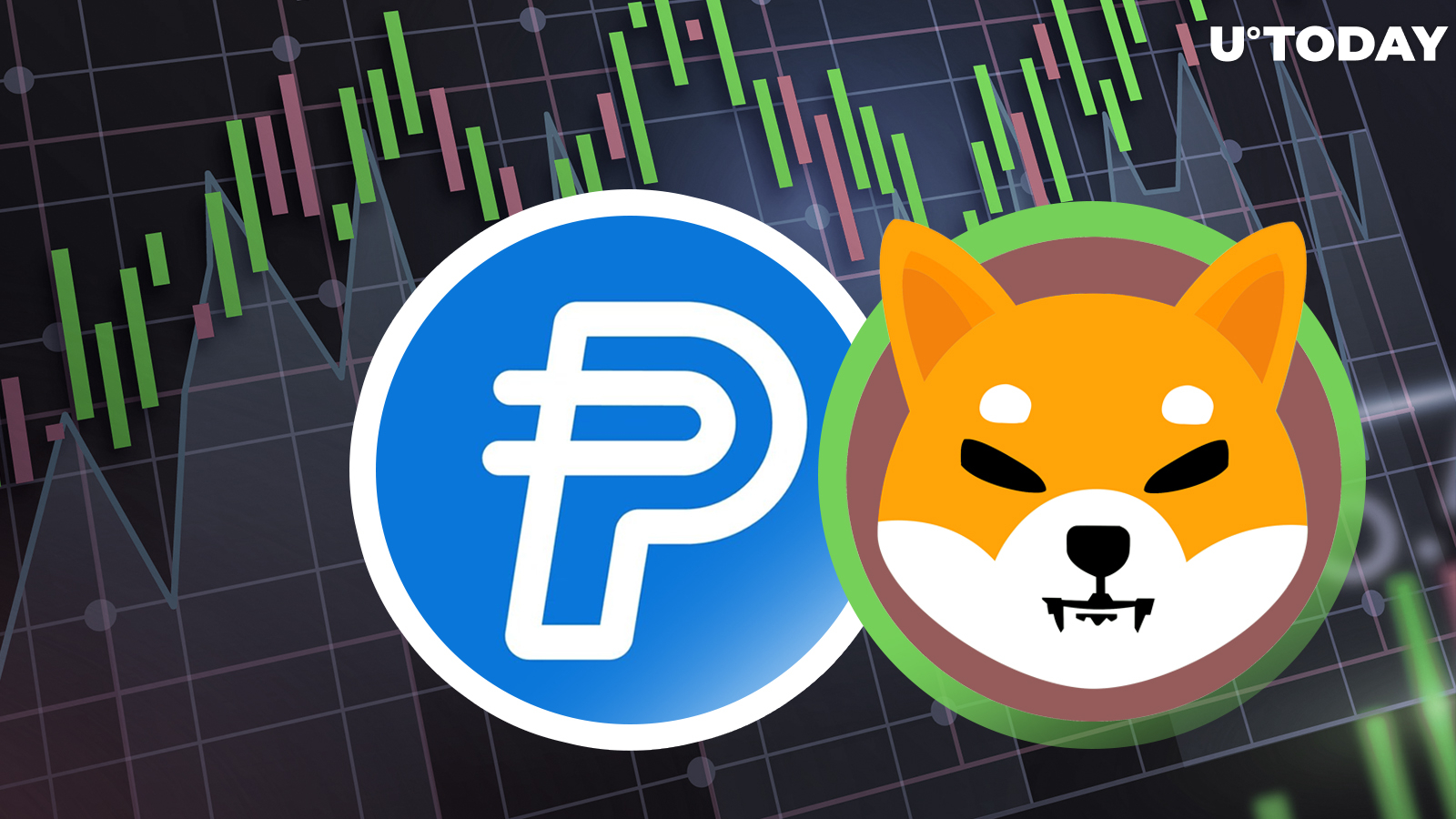 SHI Stablecoin Will Be Game-changer, While PayPal Stablecoin PYUSD Is Not: SHIB Team Member