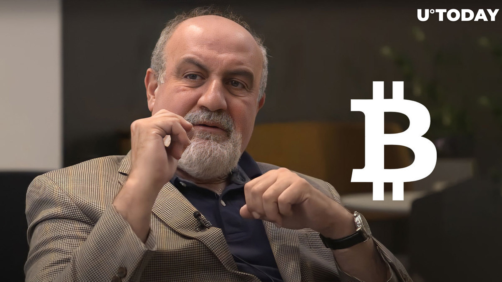 'Black Swan' Author on Bitcoin's Decline: 'This Is How Open Ponzis Implode'