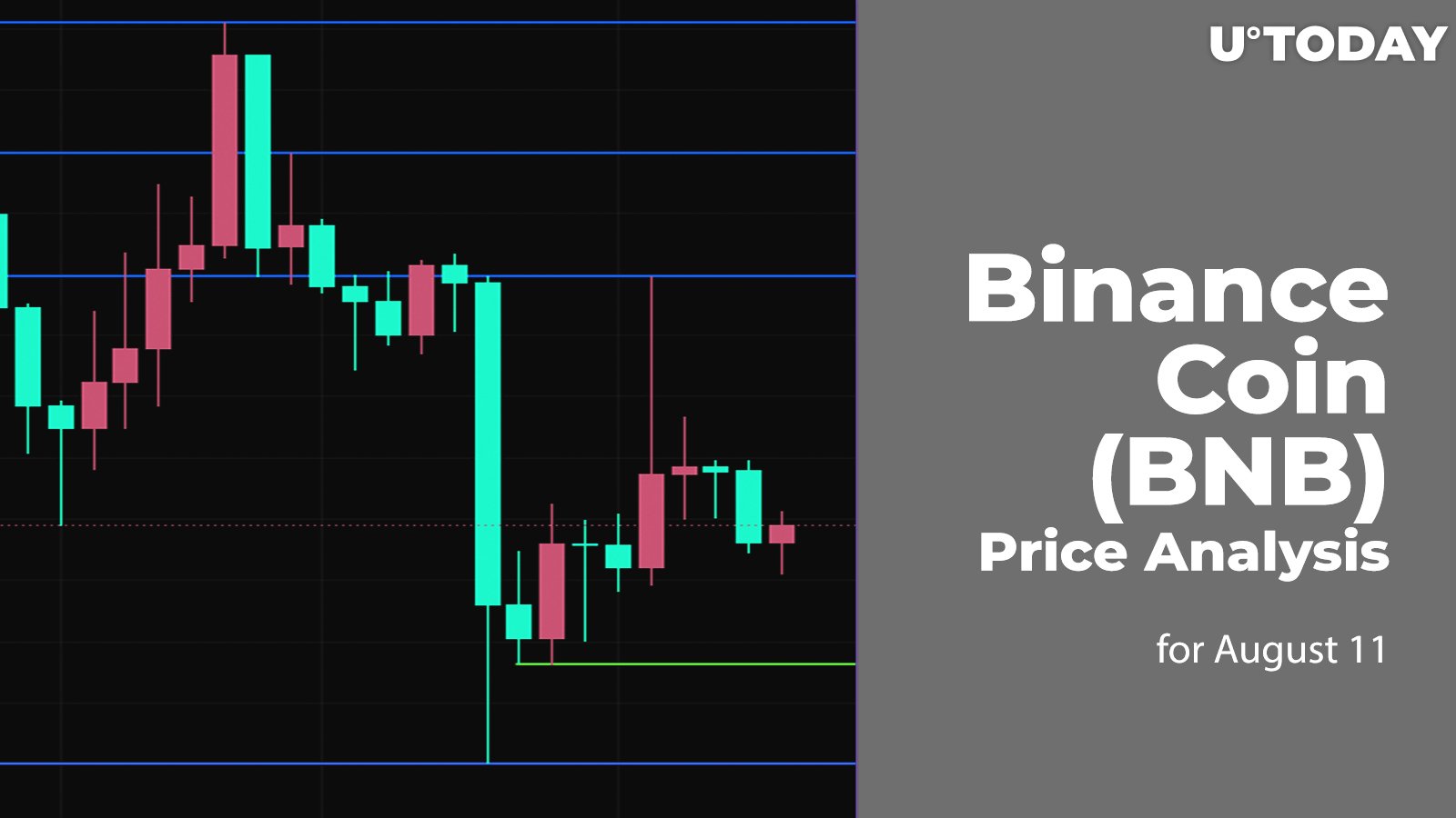 Binance Coin (BNB) Price Analysis for August 11