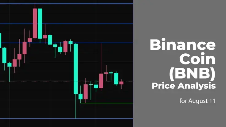 Binance Coin (BNB) Price Analysis for August 11