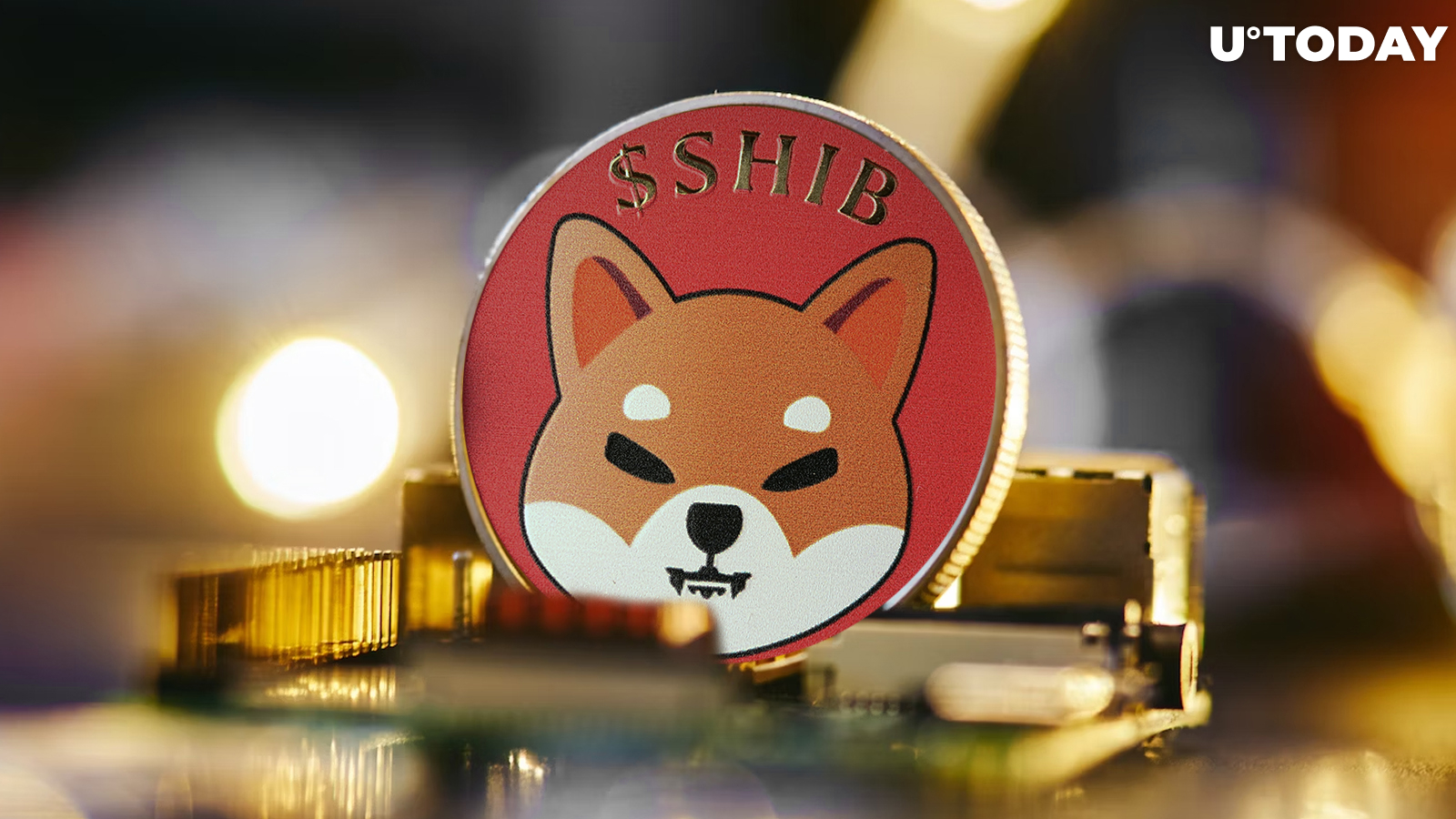 Shiba Inu (SHIB) Sees Staggering 1,194% Inflow Spike, Here's What's Going On