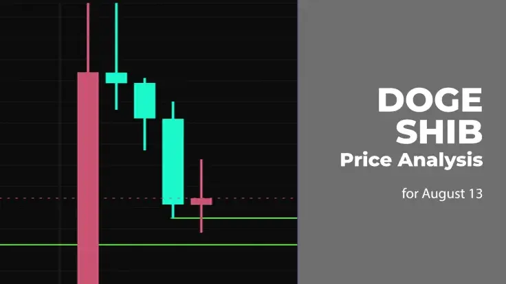 DOGE and SHIB Price Analysis for August 13