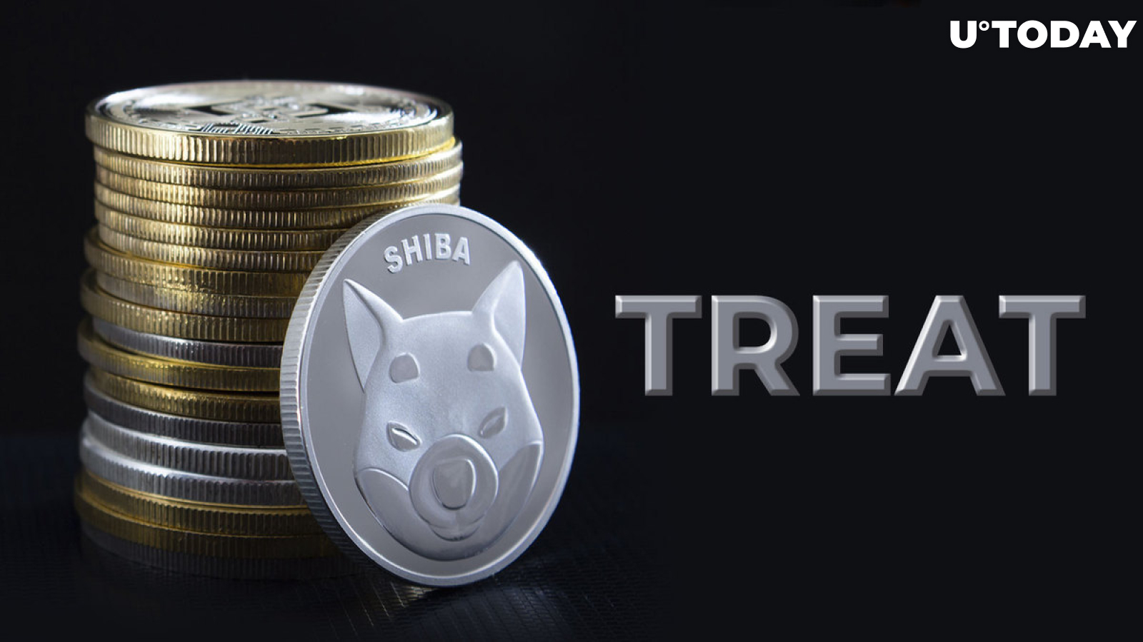 Shiba Inu Team Member Issues Critical Update on TREAT