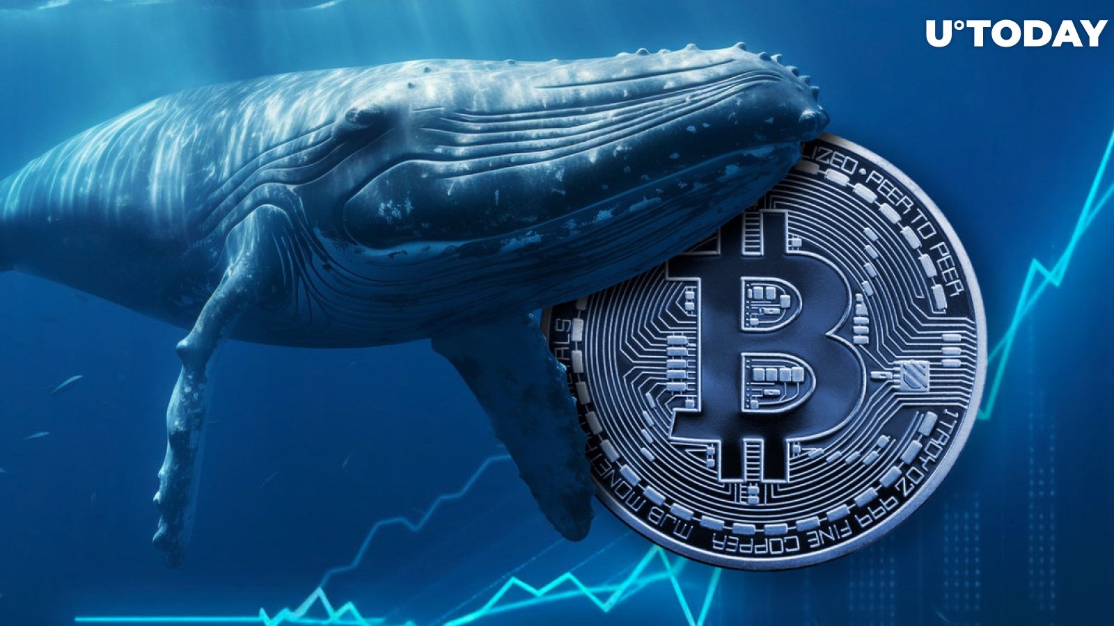 Top BTC Whales Set Three-Year Record: Details