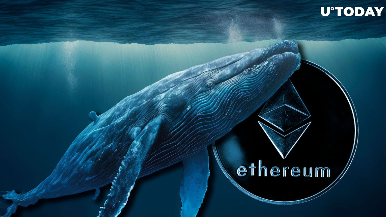 Whale Buys 19,508 ETH in Last Two Days, Buying Dip or Insider Trading?