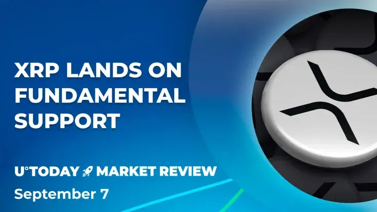 XRP's $0.5 Price Level Acts as Fundamental Support