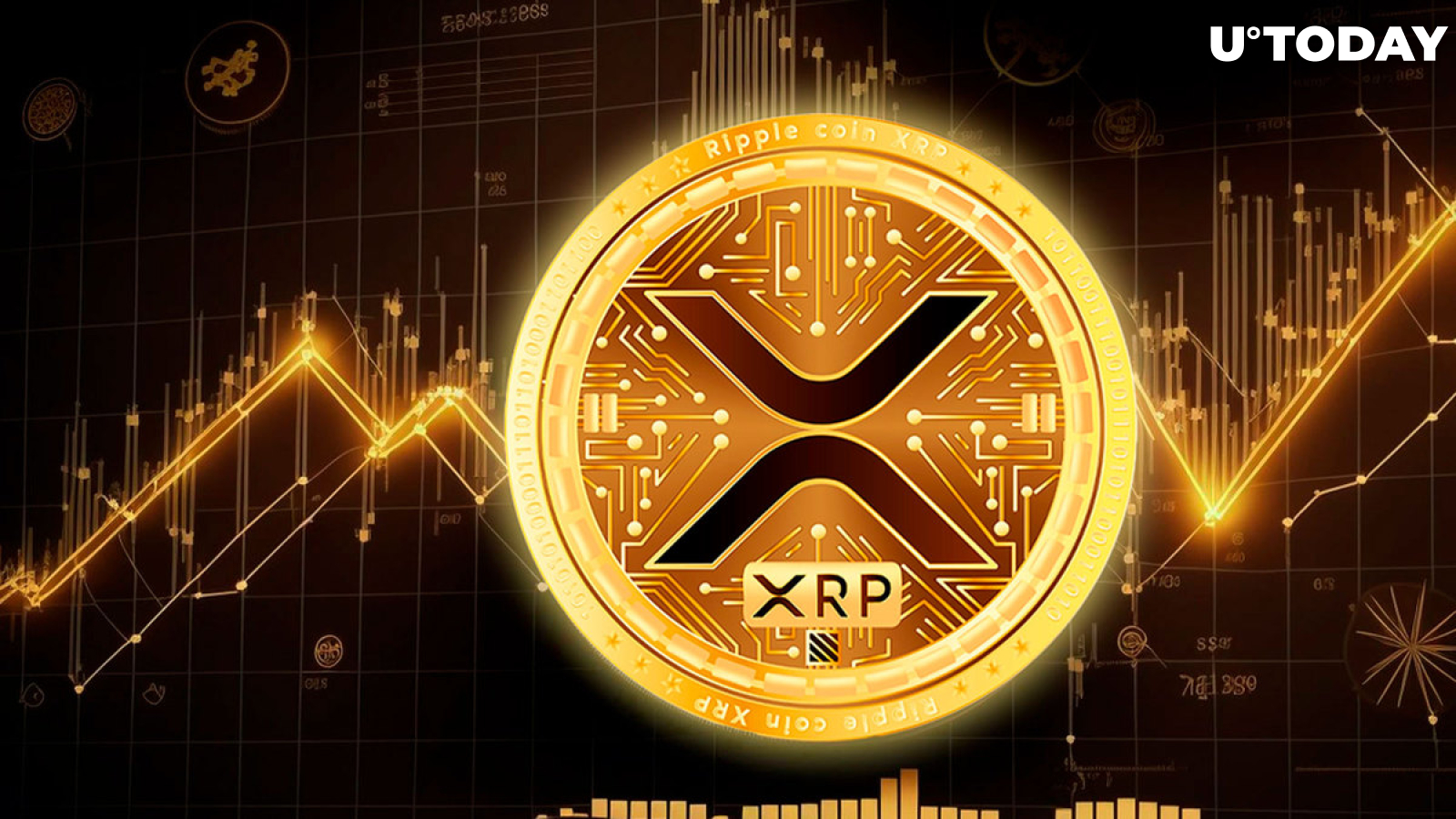 XRP Trading Volume in August Left Competitors in Dust