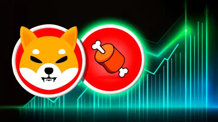 Shiba Inu: BONE Surprises With 50% Gain in Millionaire Addresses