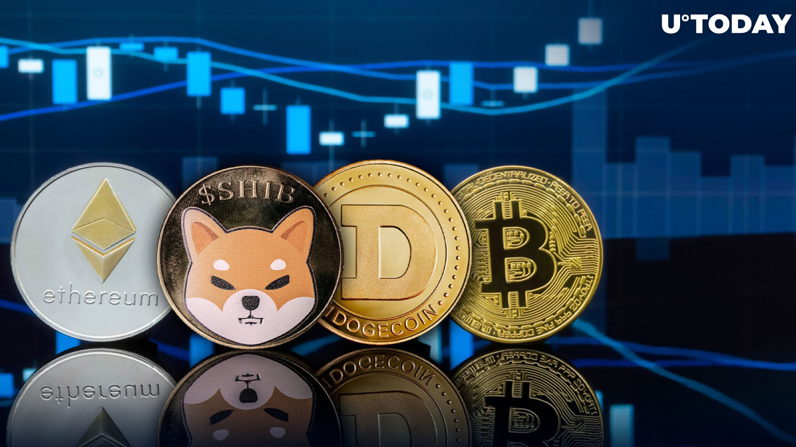 SHIB, DOGE, BTC, ETH Now Part of Groundbreaking New Service for Managing Finances