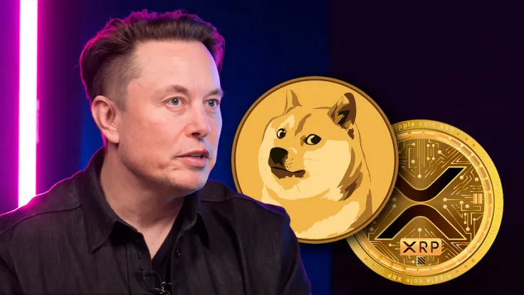 Elon Musk's New X Post 'Approved' by Crypto Community: XRP, DOGE Armies