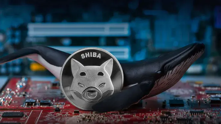 Whopping Billions of SHIB Leave Binance as New Shiba Inu Whales Emerge