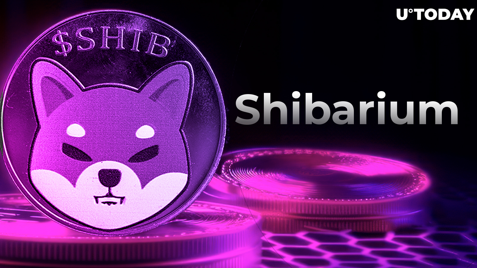 Shiba Inu (SHIB) Revolution: Shibarium Node Provider Unleashes Ambitious Plans