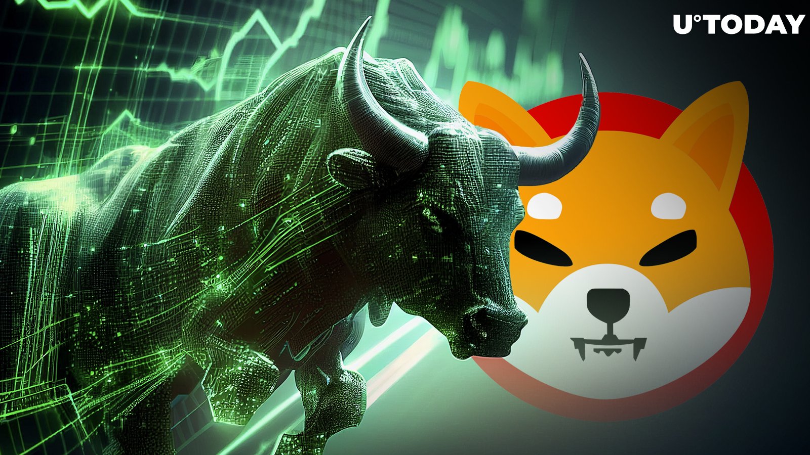 Shiba Inu Official Reveals What to Expect From SHIB in Next Bull Cycle