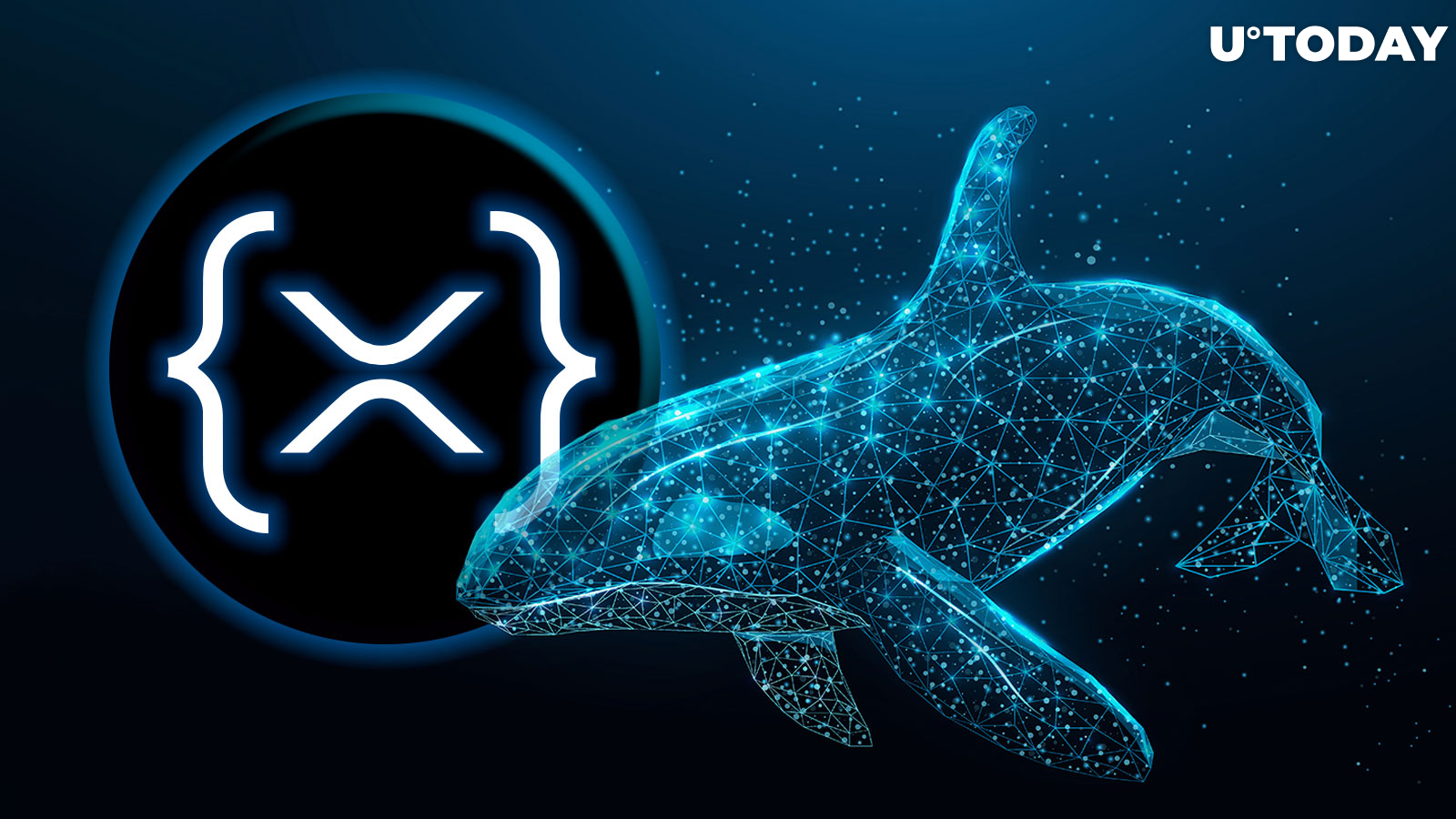 Key XRP Ledger Whale Wallets Boost Holdings Despite Reduced Activity