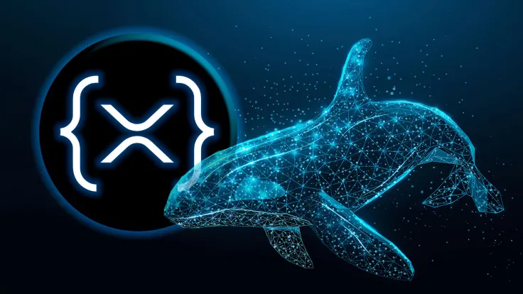Key XRP Ledger Whale Wallets Boost Holdings Despite Reduced Activity