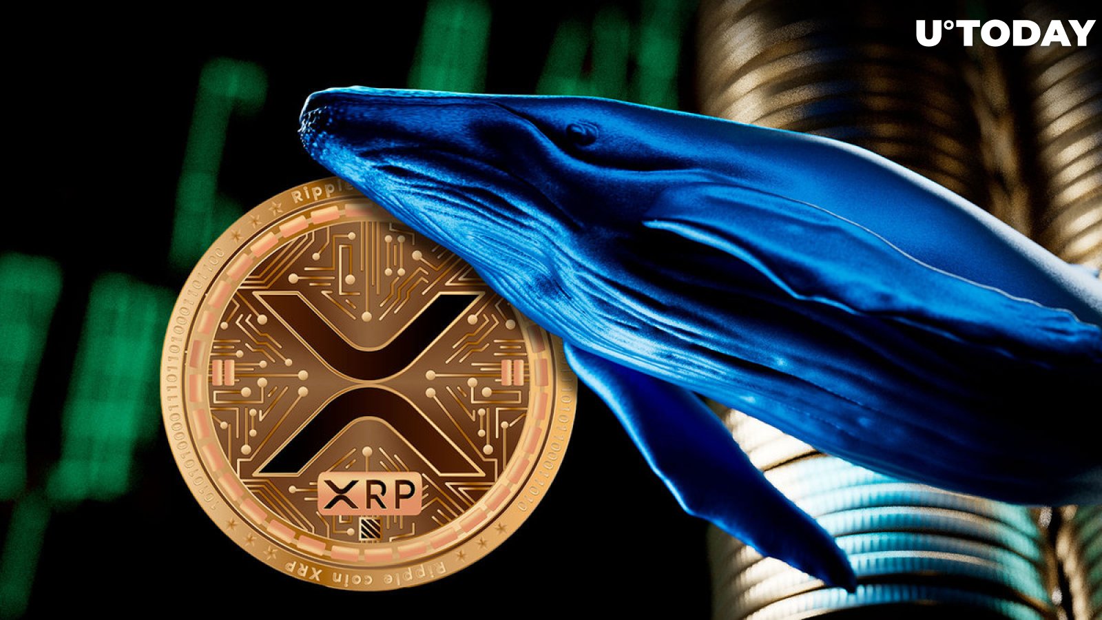 XRP Whales Are Not Stopping, Grabbing $730 Million This Year, $8 Billion in Total