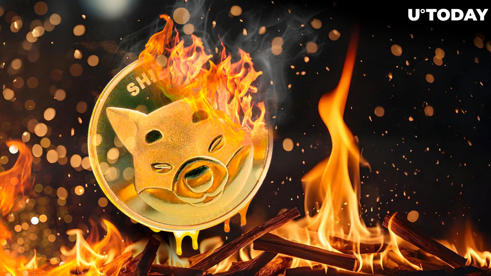 SHIB Burns Soar 208% After Whales Exchanged Trillions of Shiba Inu