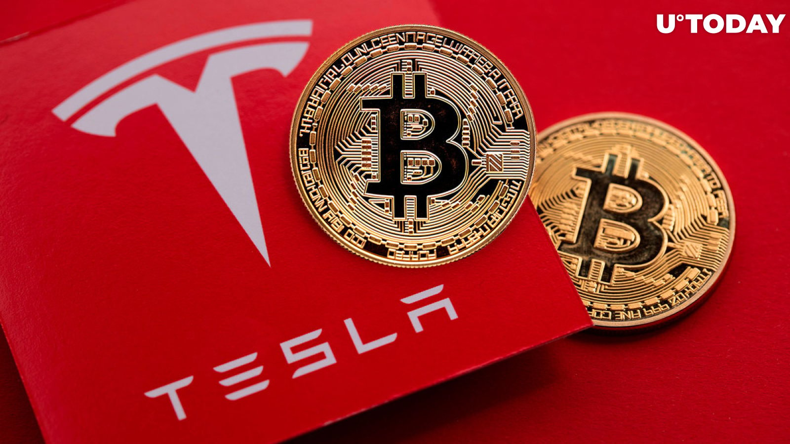 Elon Musk's Tesla to Unveil Its Bitcoin (BTC) Holdings Today