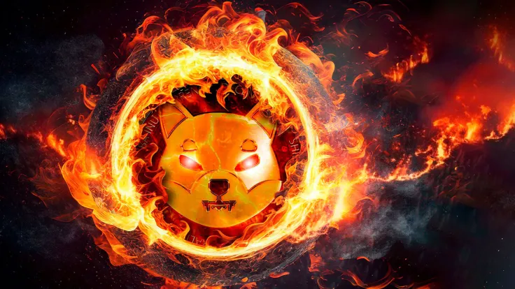 SHIB Burn Rate Spikes 111% as Shibarium Hits Crucial Milestone