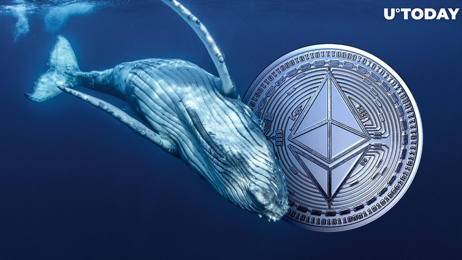 Massive Ethereum Whale With 4,890 ETH Suffers Losses After Error Moves