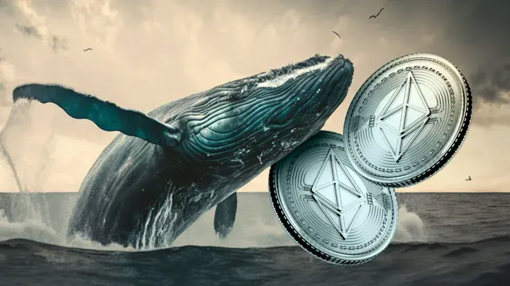 New ETH Whales Grabbing Astonishing Number of Ethereum As Price Soars