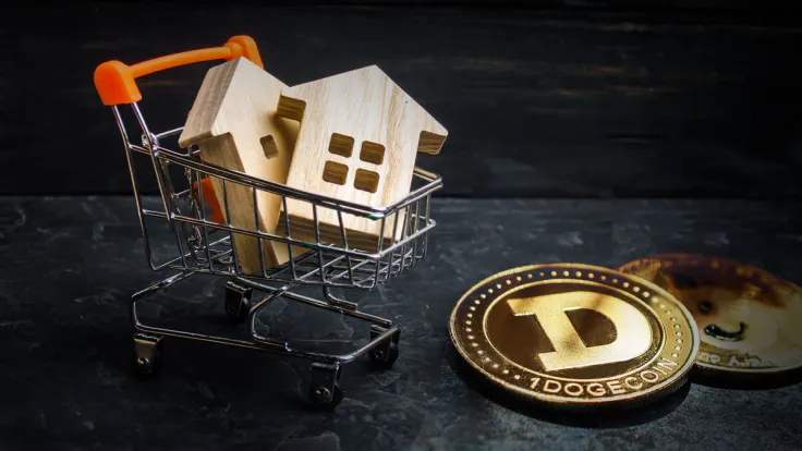 DOGE Founder Hints US Housing Market May Be Fragile