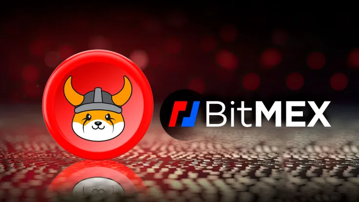 BitMEX Drops Trading Pair for Shiba Inu Rival Floki Inu