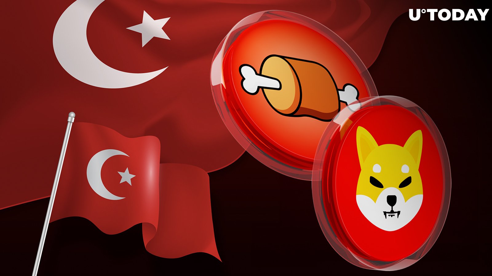 Shiba Inu's Shibarium and BONE Listed on Prominent Turkish Crypto Platform