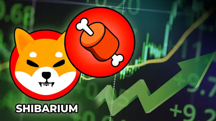 Shiba Inu's Shibarium Surges to All-Time High With 26 Million BONE Tokens Staked