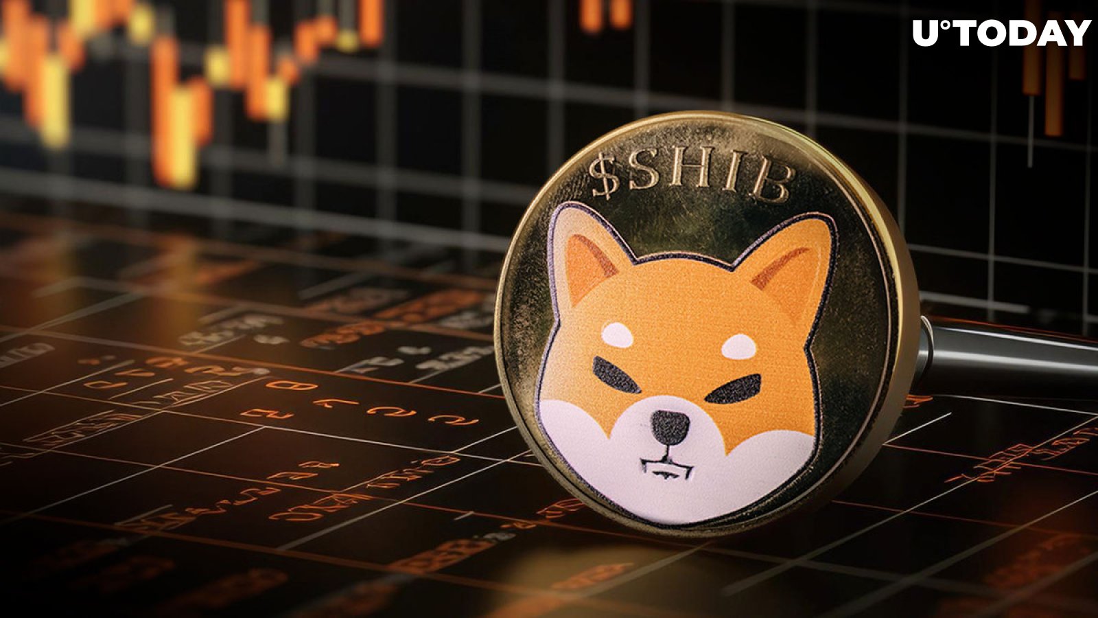 What Can Push Shiba Inu (SHIB) Away From Top 20 Coins?