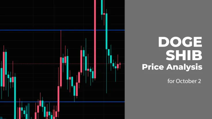 DOGE and SHIB Price Analysis for October 2