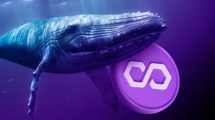 Polygon (MATIC) Price Jumps Following Unusual Whale Activity Spike