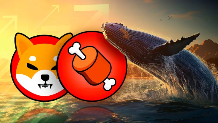 Shiba Inu's BONE Whales Boost Positions by 37% Amid Shibarium Large Network Expansion