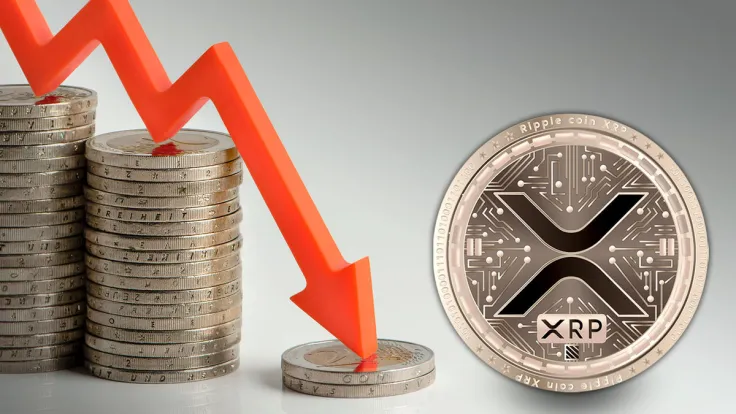 XRP Price Crash Reveals Intriguing Fact: Details