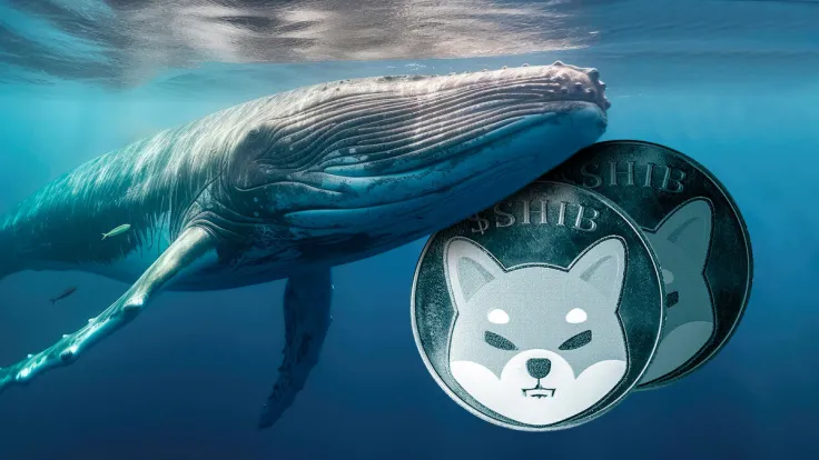 Shiba Inu (SHIB) Witnesses Unusual 2,300% Increase in Whale Activity