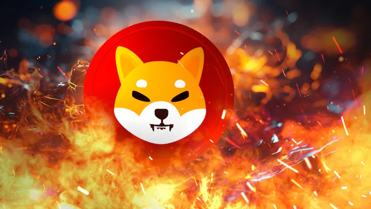 Shiba Inu (SHIB) Burn Rate Surges: Price's Reaction