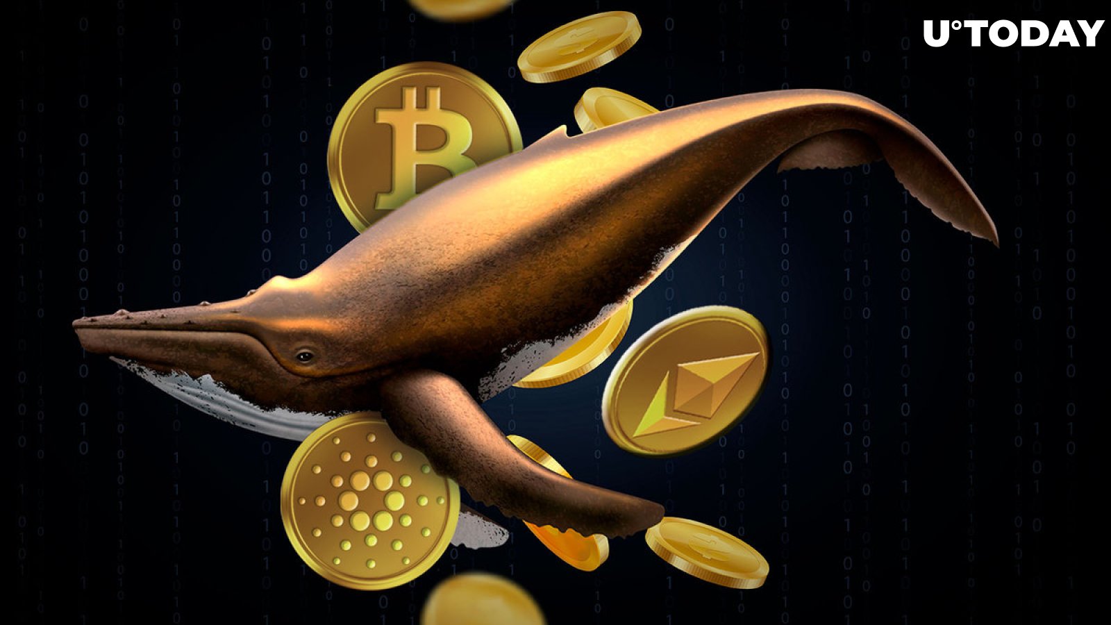 Cardano (ADA) Joins BTC and ETH as Whales' Transactions Break Three-Month Record