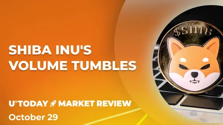 Shiba Inu (SHIB) Volume Back in Shambles, but It Is Surprisingly Bullish
