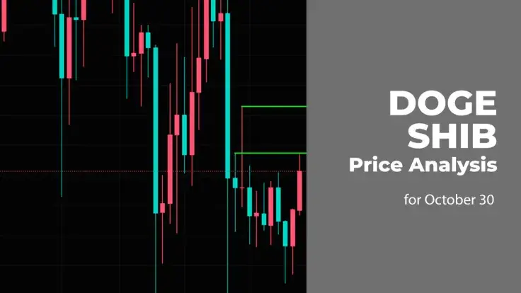 DOGE and SHIB Price Analysis for October 30