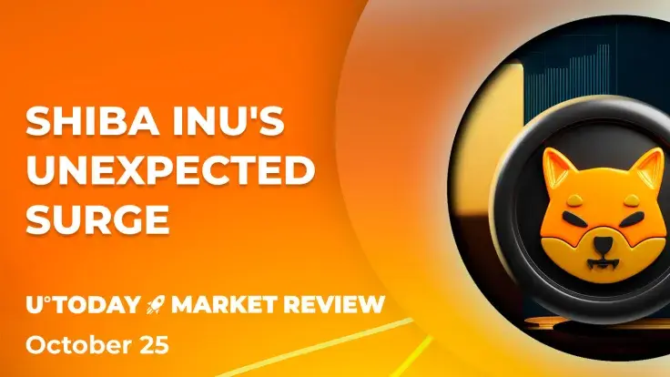Shiba Inu (SHIB) Enormous Volume Surge: What Happened?