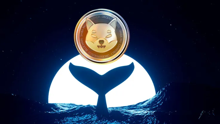 Shiba Inu Whales Secure 7.84 Trillion SHIB Overnight as Price Teases Crucial Point
