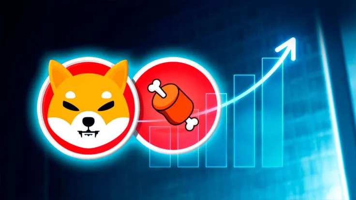 BONE Holder Count Approaches New Milestone, Here's Price Reaction