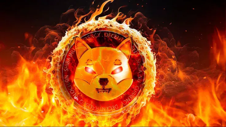 SHIB Burns Jumped Whopping 35,614% on Sunday – What Happened?