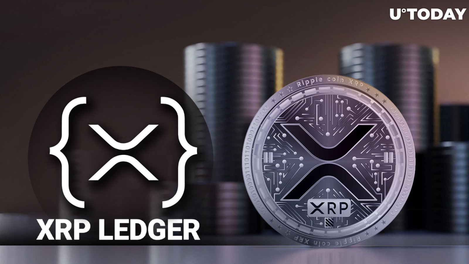 XRP Holders Should Mark This Step to Get This Reward