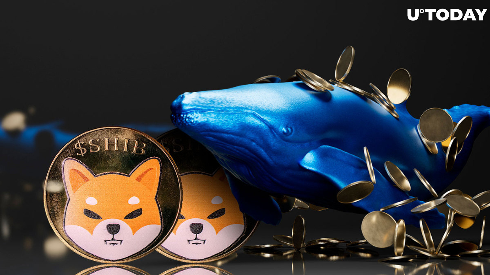 300 Billion Shiba Inu (SHIB) Received by Anonymous Whales: Who Is It?