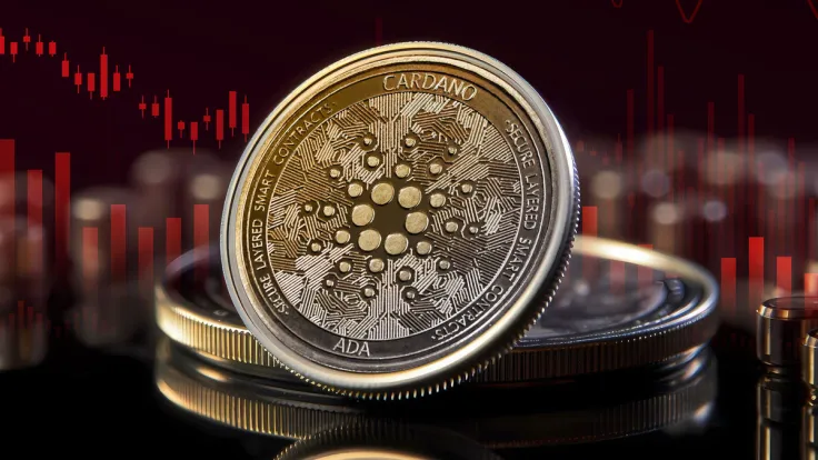 65% of Cardano (ADA) Holders in Losses, What Might Salvage Situation