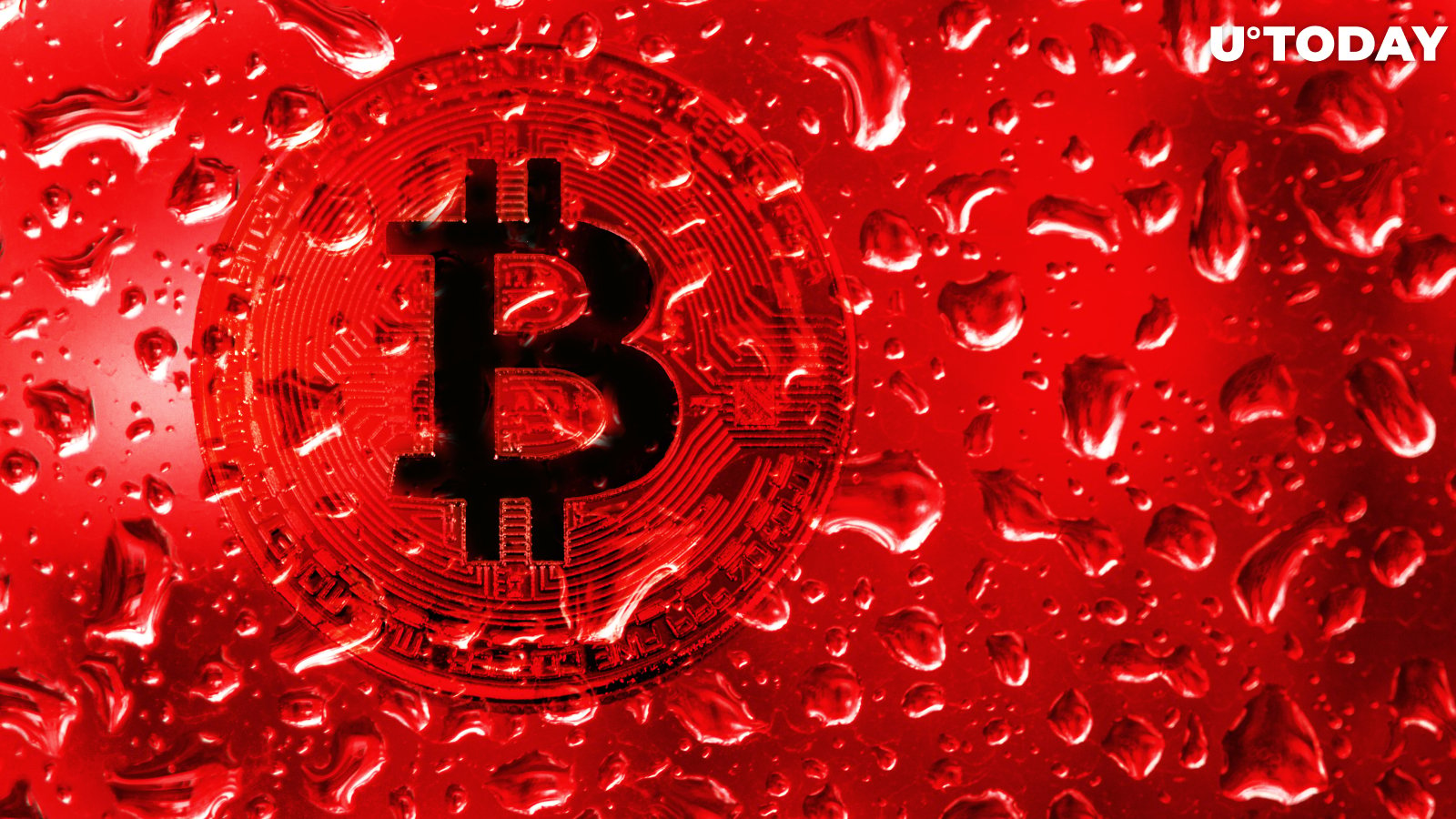 Bitcoin Bloodbath: $600 Million in Open Interest Wiped Out as BTC Price Collapses 