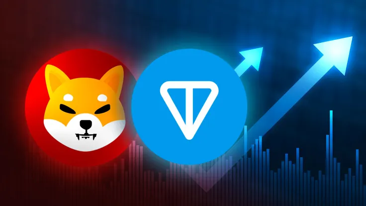 Shiba Inu (SHIB) Slips Below Toncoin (TON); Key Reasons Why