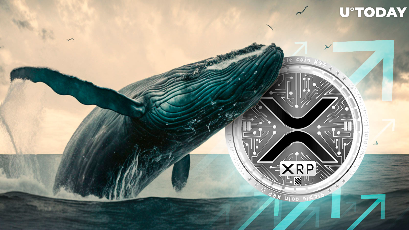 As XRP Price Recovers, Whale Activity and Wallet Holdings Surge